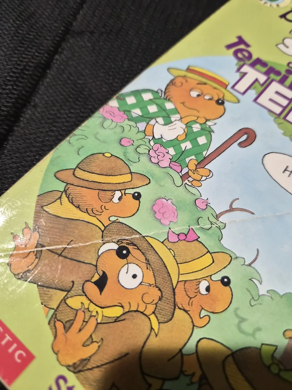 The Berenstain Bear Book